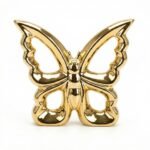 Papillon Doré Moyenne