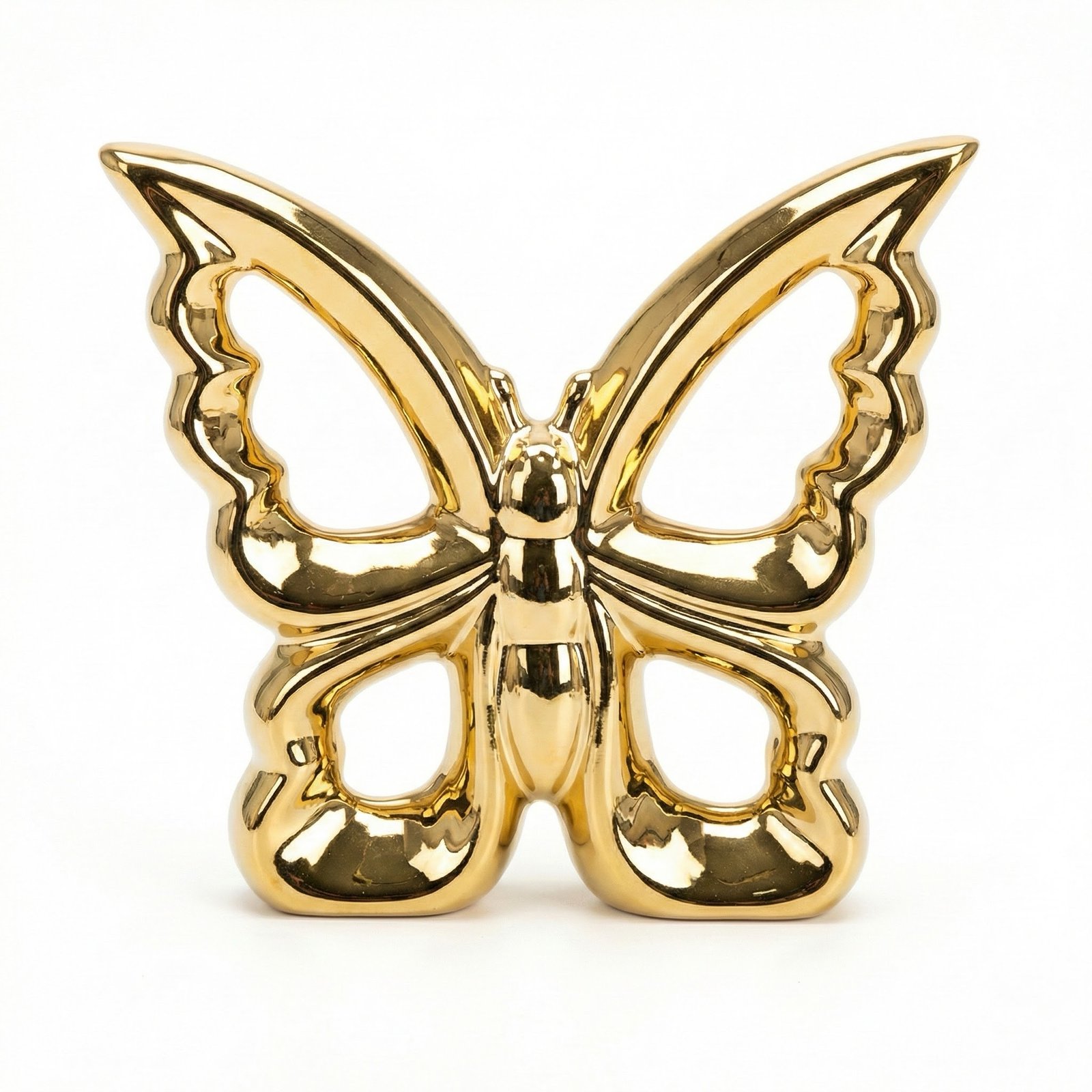 img_5776 Papillon Doré GM – Image 1