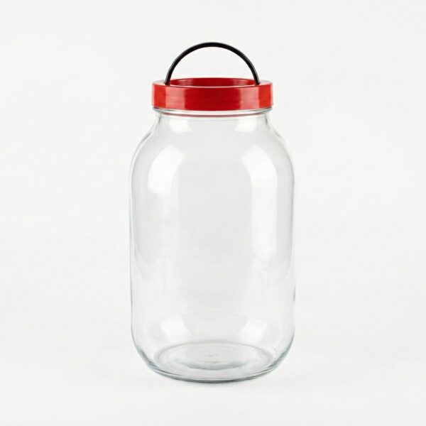 Bouteille grand en verre 3l