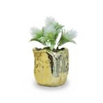 PLANTE DécorationATIF DORE 50-20