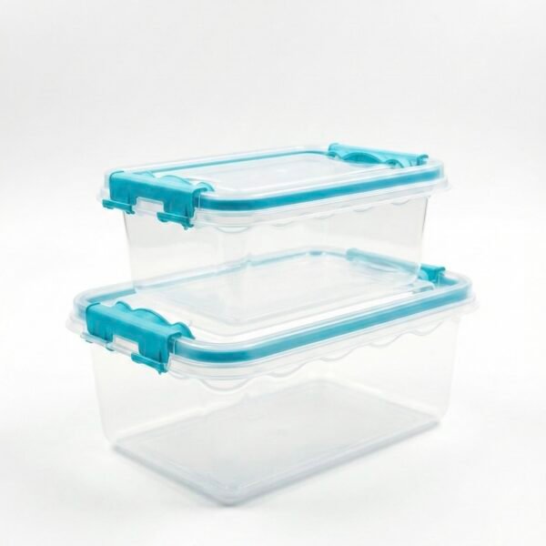 SET 2  BOITES MULTI-USAGE IN368