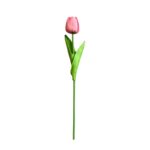 fleurs