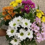Neuf Fleurs de Même Couleur