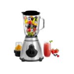2IN 1 BLENDER MULTI-FONCTION