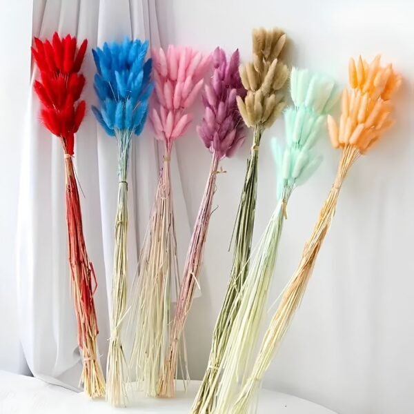 Bouquets de Lagurus Séchées