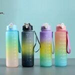 Gourde Dégradée - 900 ml