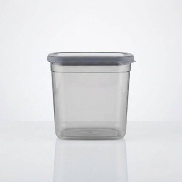 Boîte de Rangement Alimentaire - 2000 ml